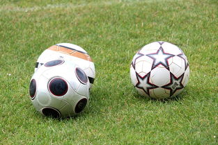 开云网页版登录入口-未来足球市场：数字资产与足球产业的融合，足球概念数字货币